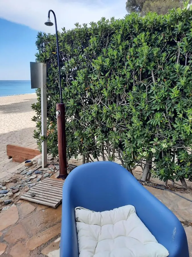 Genieten Op Het Strand Miami Playa